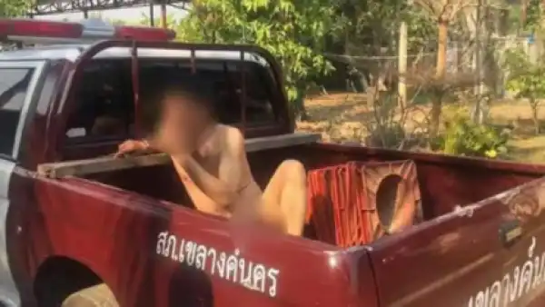 See Photos Of Man Caught Having $ex With Cow 
